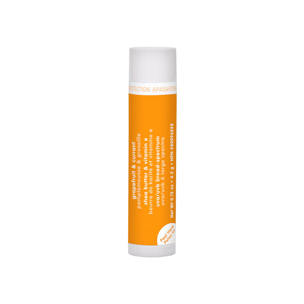 Thinkdaily Lip Balm SPF 18 - Grapefruit & Currant 
