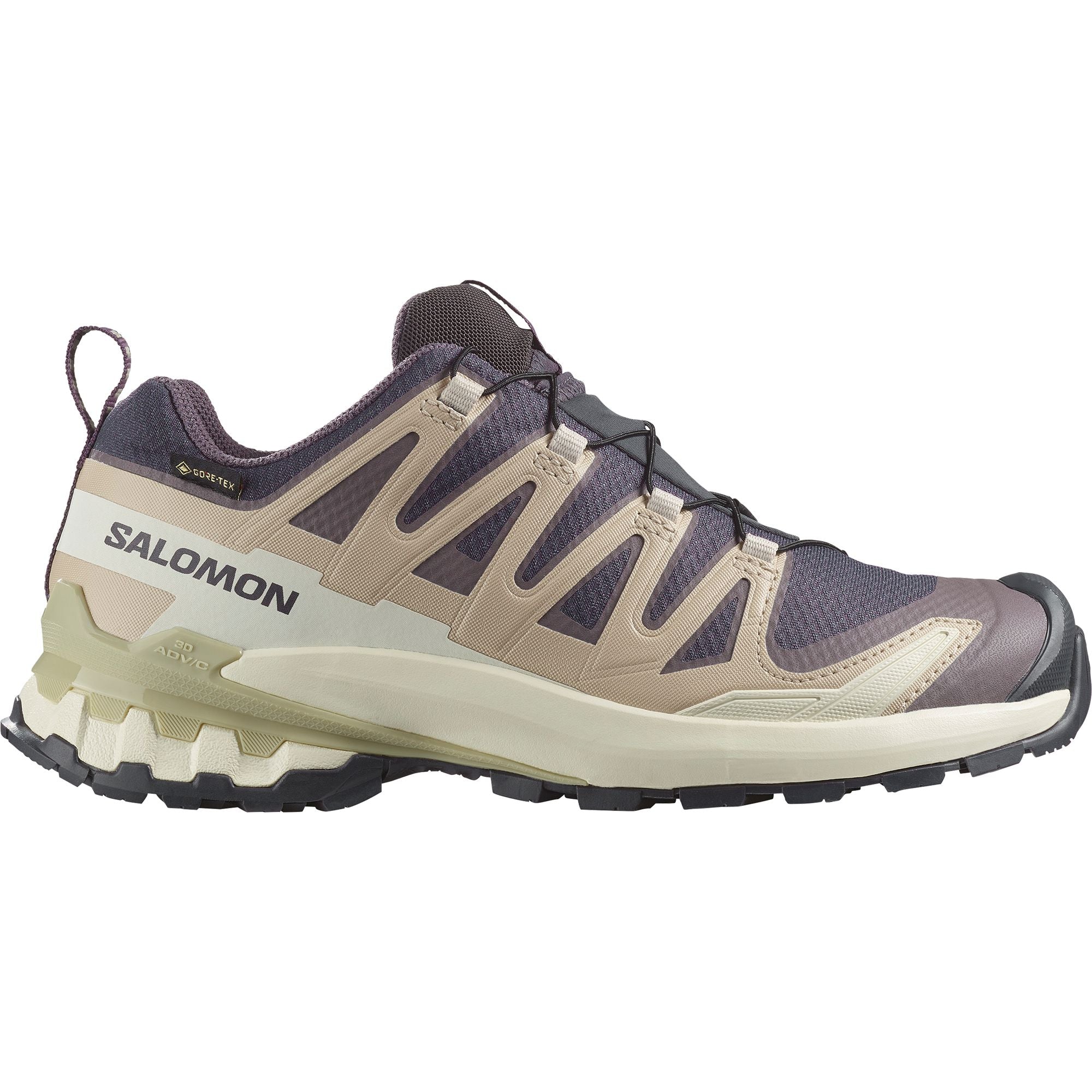 Salomon XA Pro 3D V9 GTX Women's Trail Running Shoes Nine Iron/Oxford Tan/Alfalfa US 7 