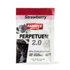 Hammer Perpetuem 2.0 Ultra Endurance Fuel 1 SERVING Strawberry 