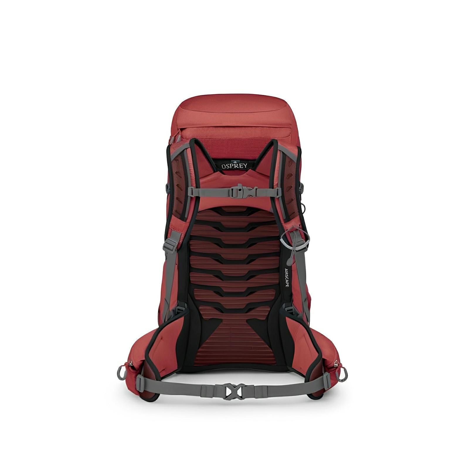 Osprey Tempest 33 Women's Hiking | Multisport Backpack 2025 