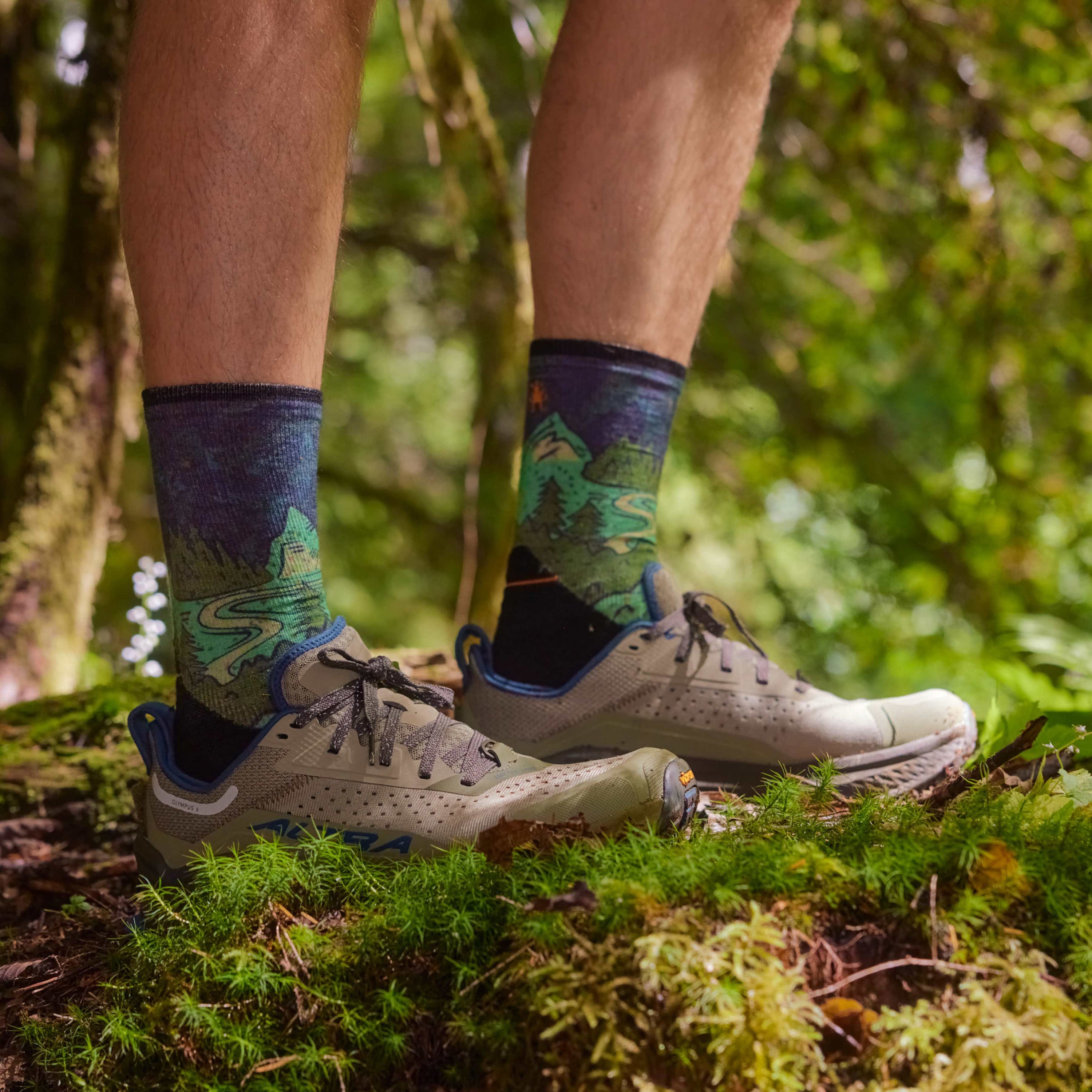 Smartwool Trail Run Targeted Cushion Neature Print Crew Socks 