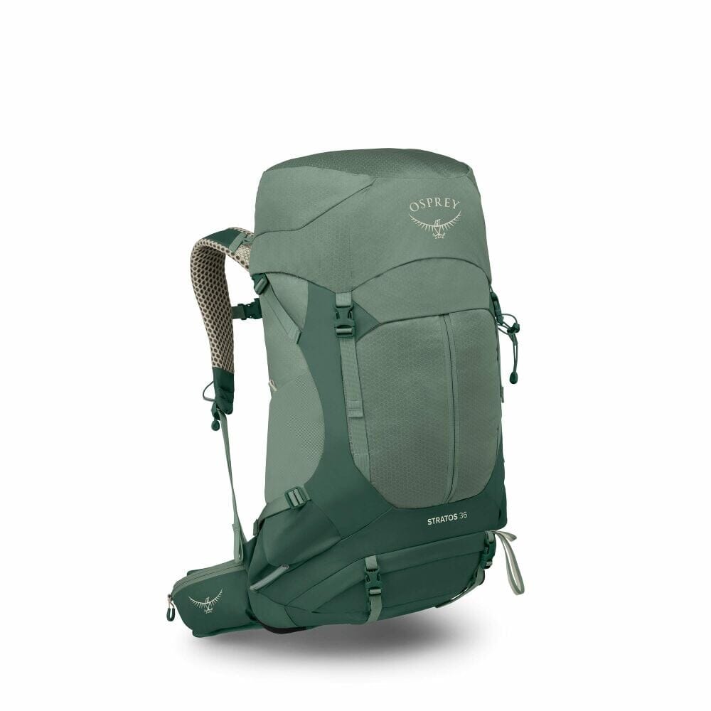 Osprey Stratos 36 Hiking Backpack (2026) - Pine Leaf Green