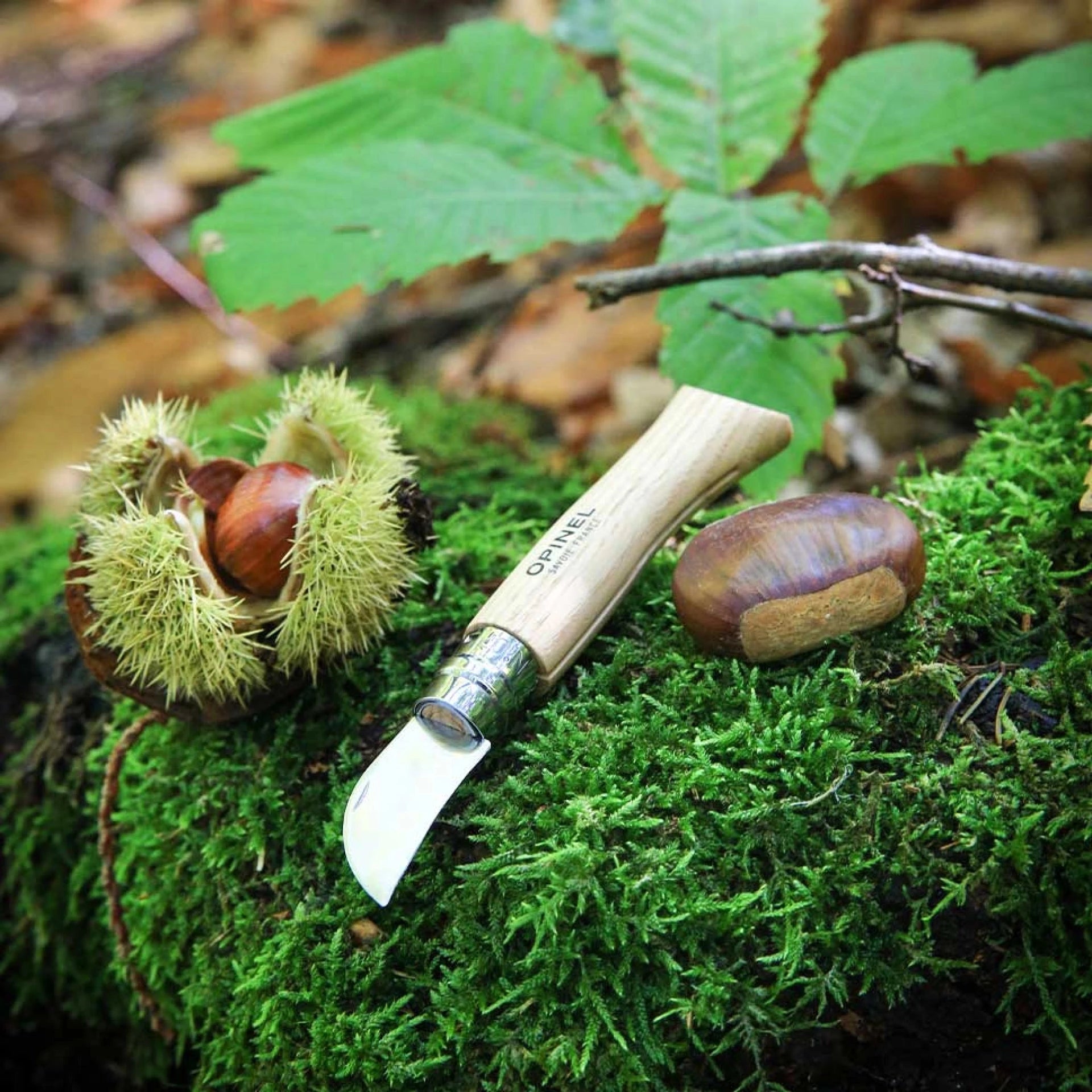 Opinel Pocket Knife N°07 Chestnuts, garlic and pitting 