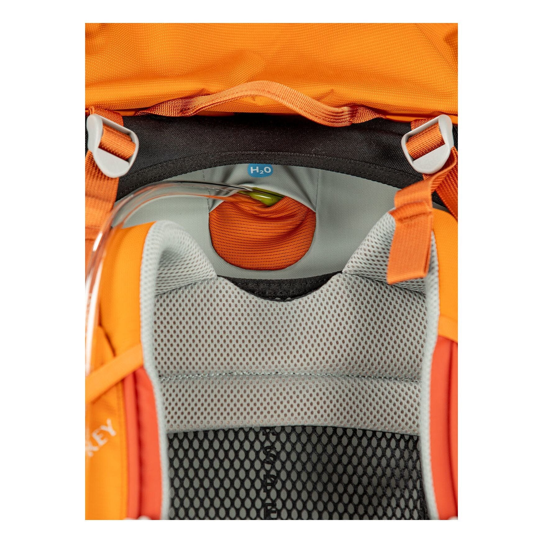 Osprey Ace 50 Kid's Backpack 