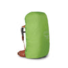 Osprey Ace 50 Kid's Backpack 