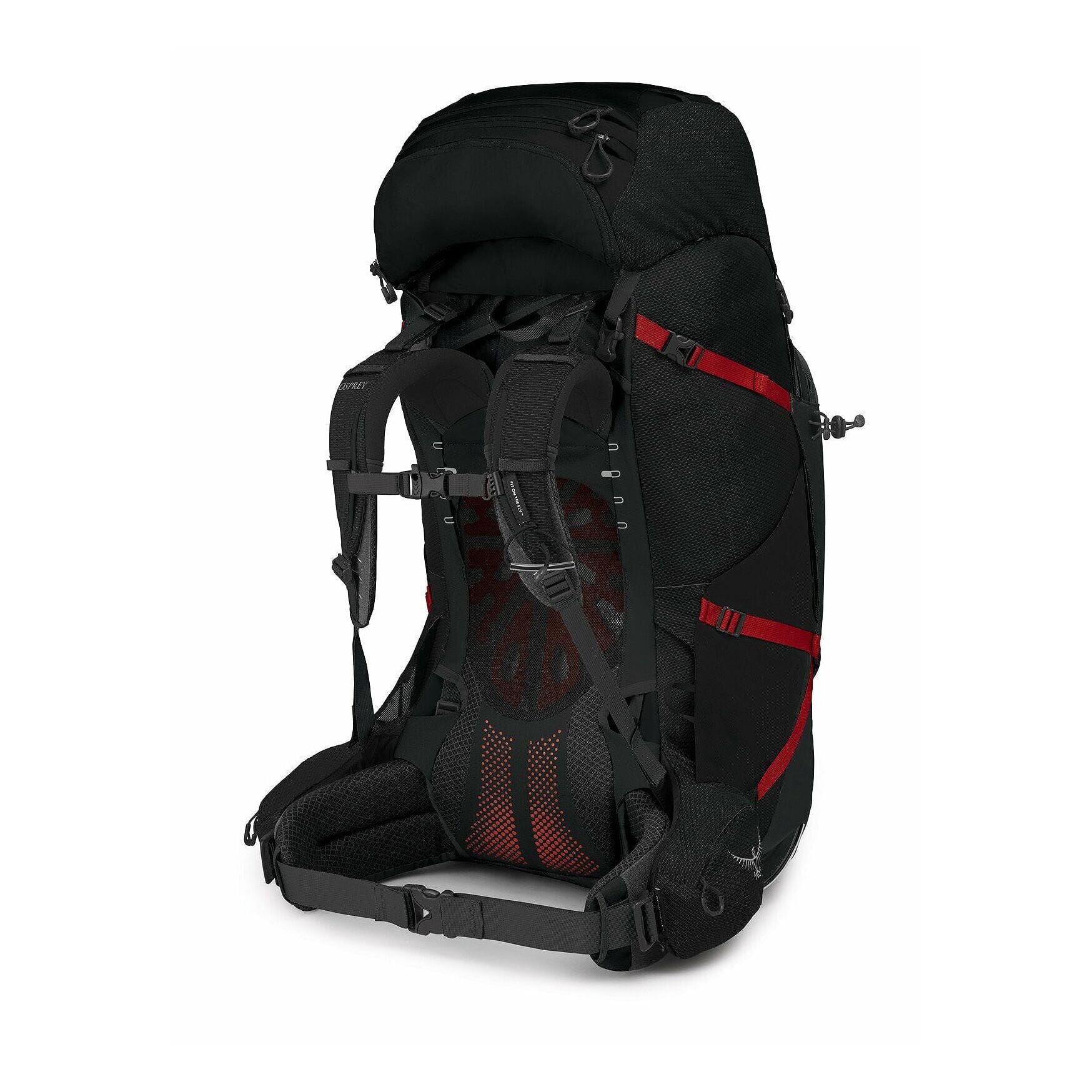 Osprey Aether Plus 100 Men's Backpack 