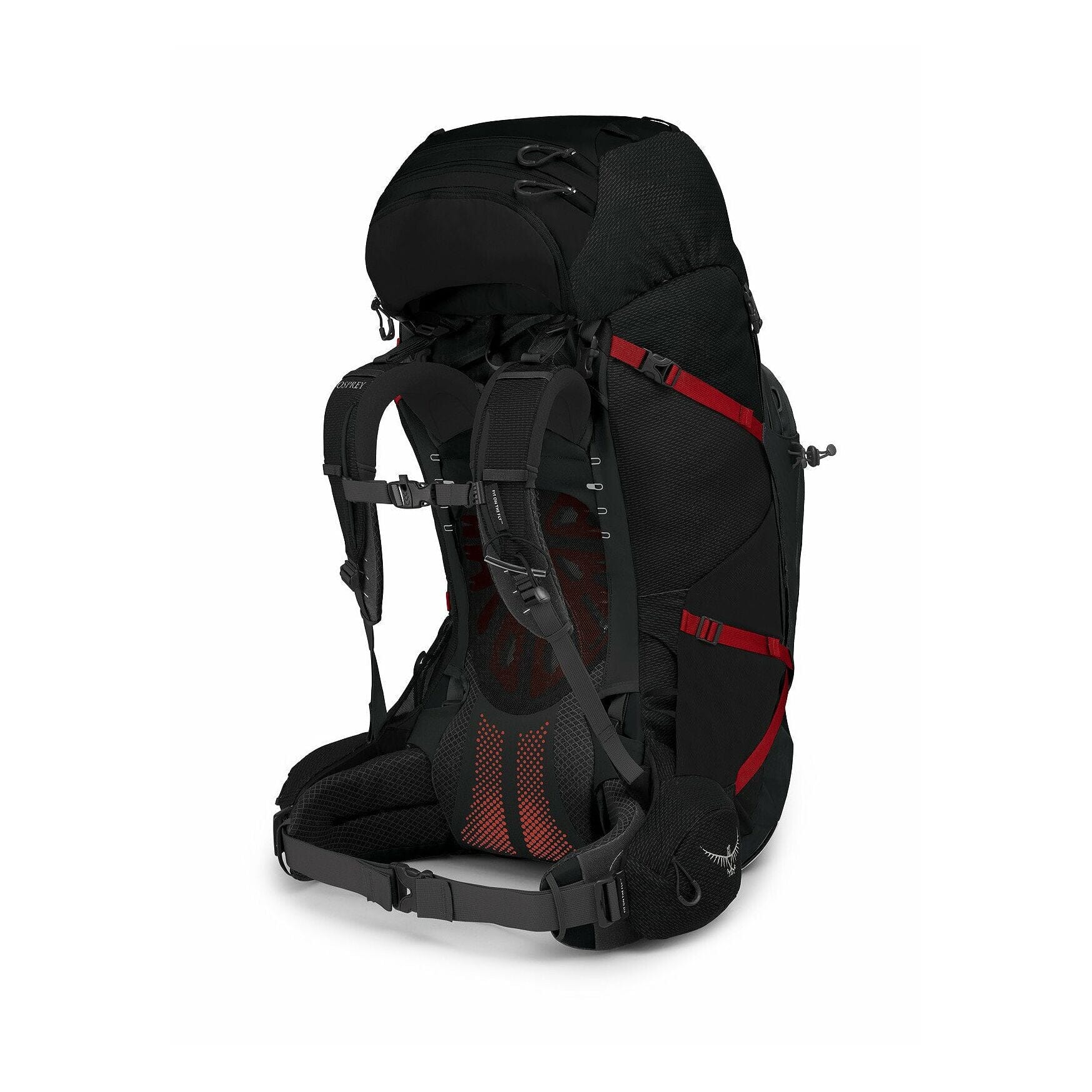 Osprey Aether Plus 85 Men's Backpack 