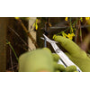 Leatherman Wave Plus 