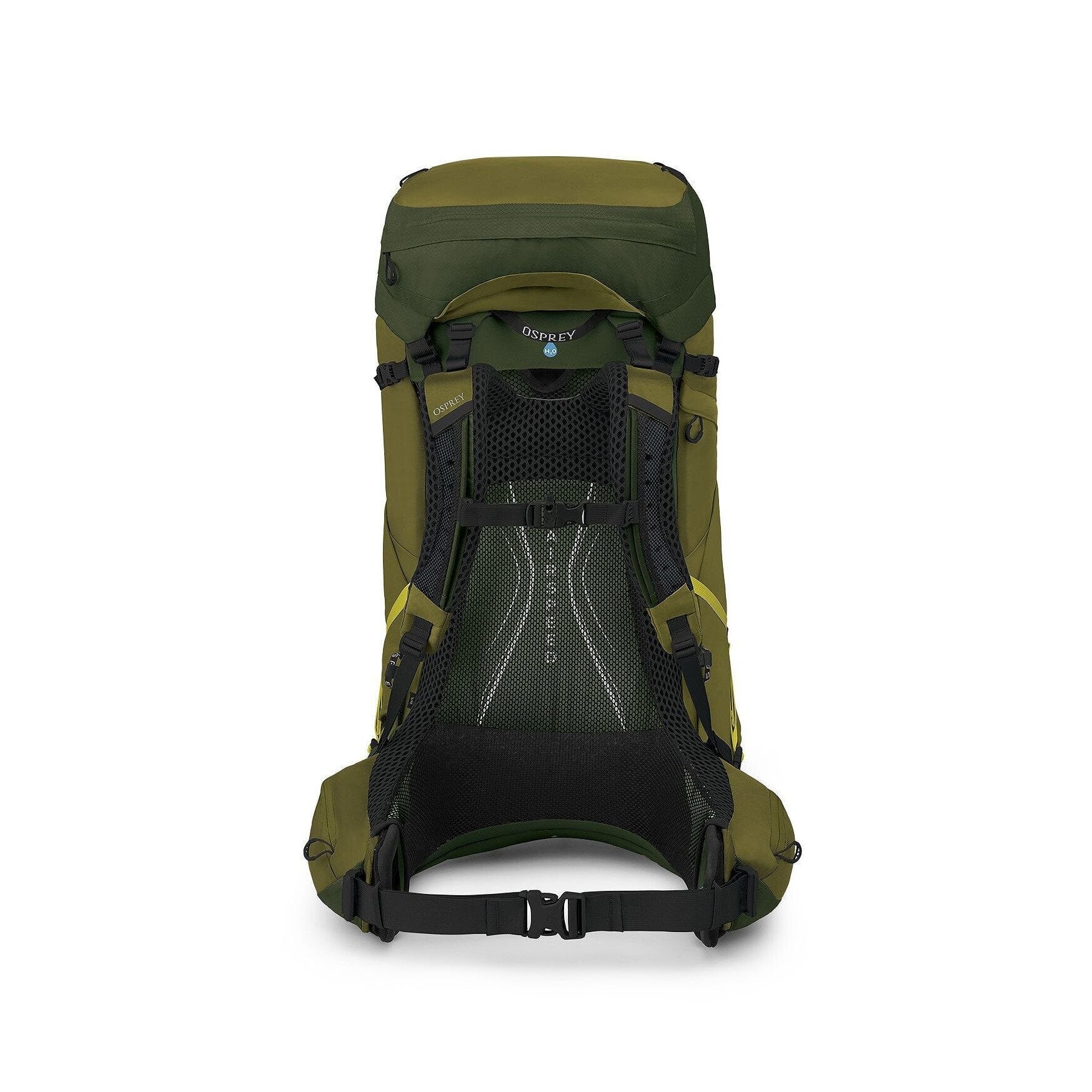 Osprey Atmos AG LT 65 Men's Backpack Scenic Valley/Green Peppercorn L/XL 