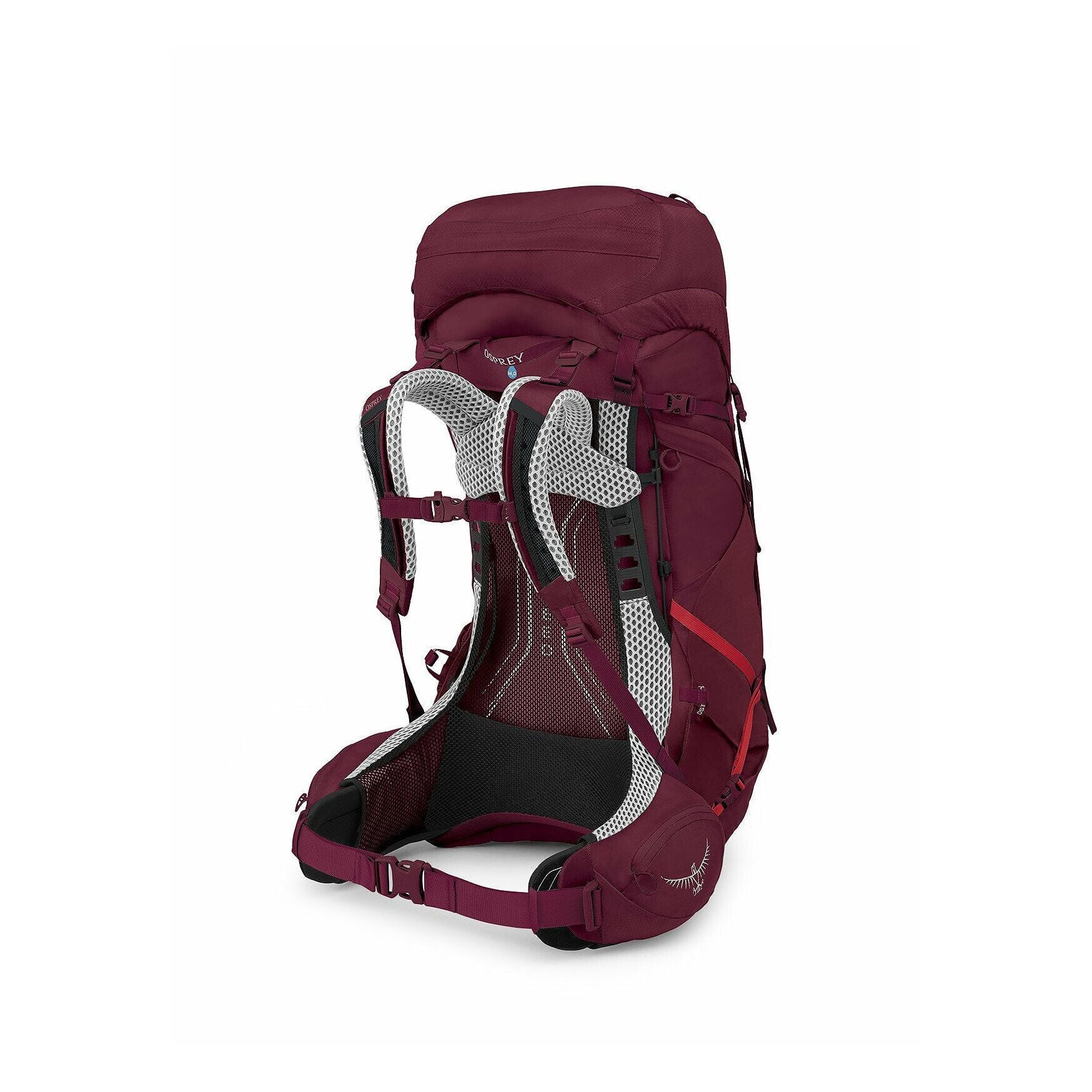 Osprey Aura AG LT 50 Litre Backpack Women's Antidote Purple M/L 