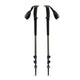 Black Diamond Trail Trekking Poles (2025) Pine Smoke 100-140cm 