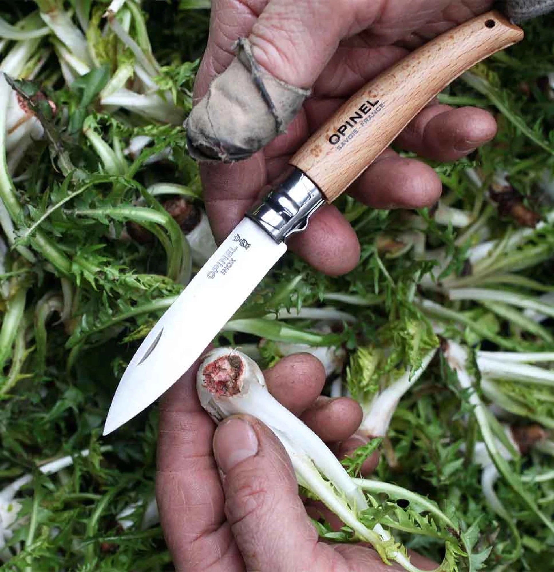 Opinel Pocket Knife N°08 Garden 