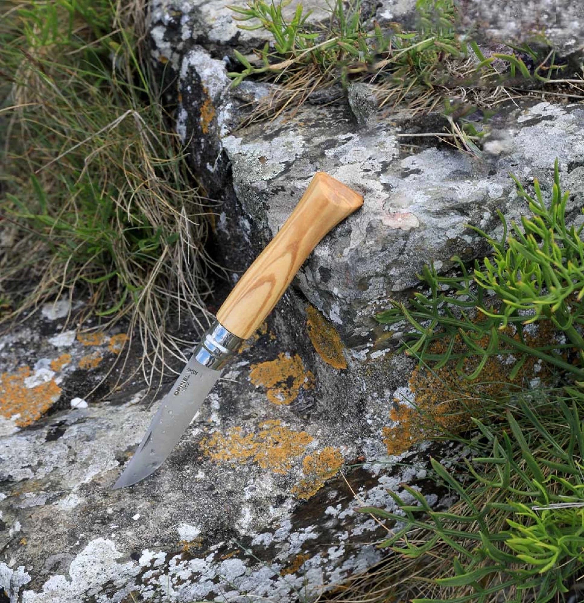 Opinel Pocket Knife N°09 Olive Wood 