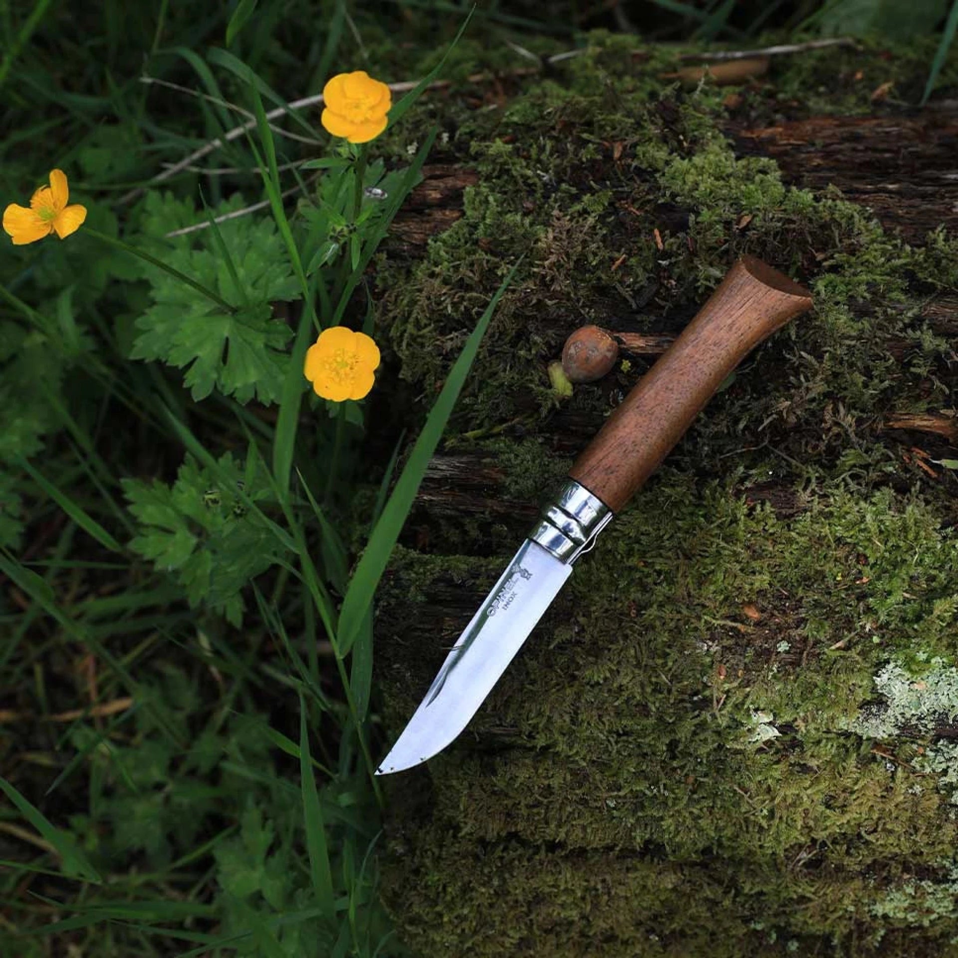 Opinel Pocket Knife N°09 Walnut Wood 