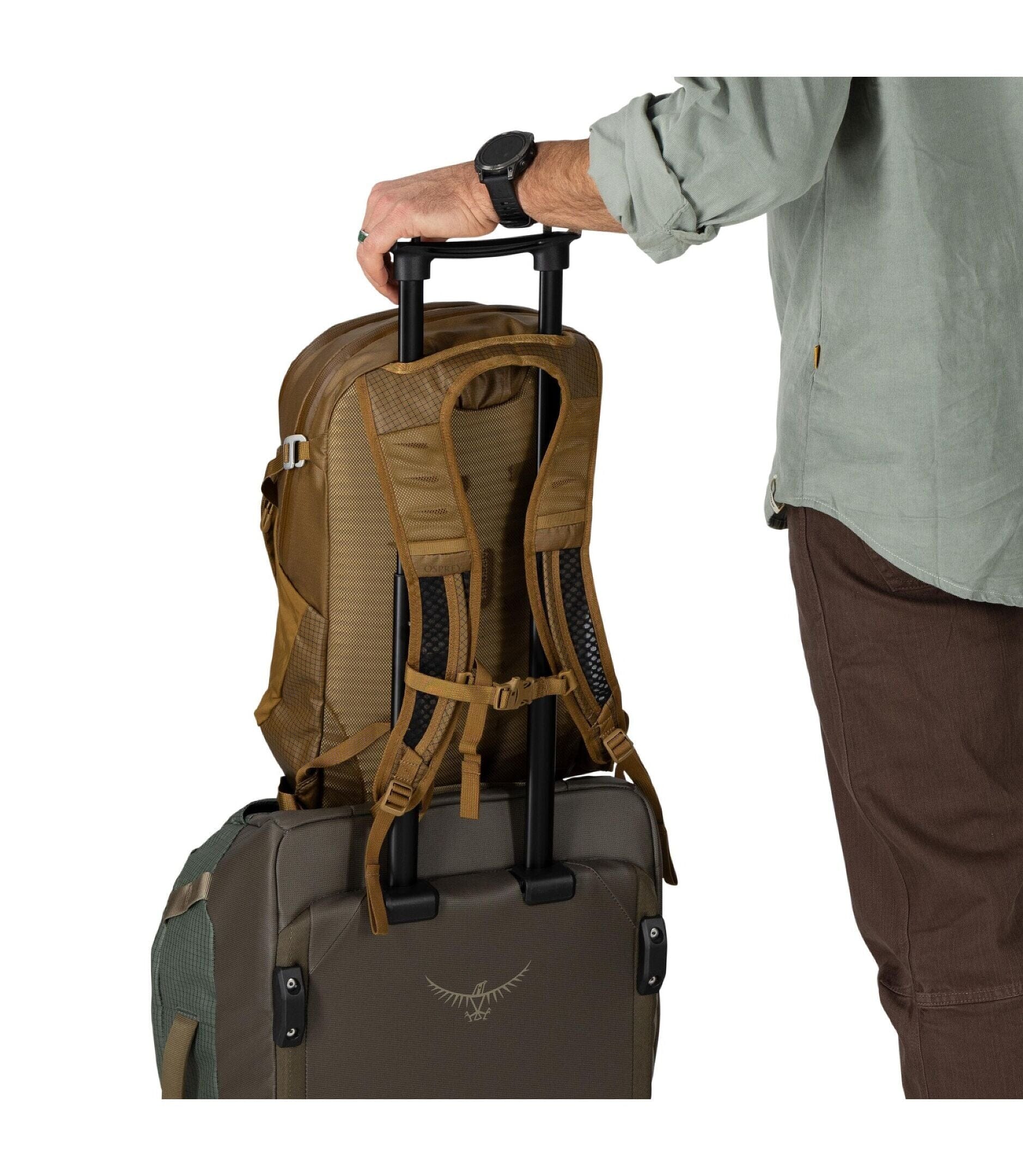 Osprey Daylite Plus LTD 20 Unisex Daypack 