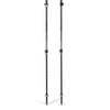 Black Diamond Trail Vista Shock Trekking Poles 