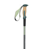 Black Diamond Trail Vista Shock Trekking Poles 