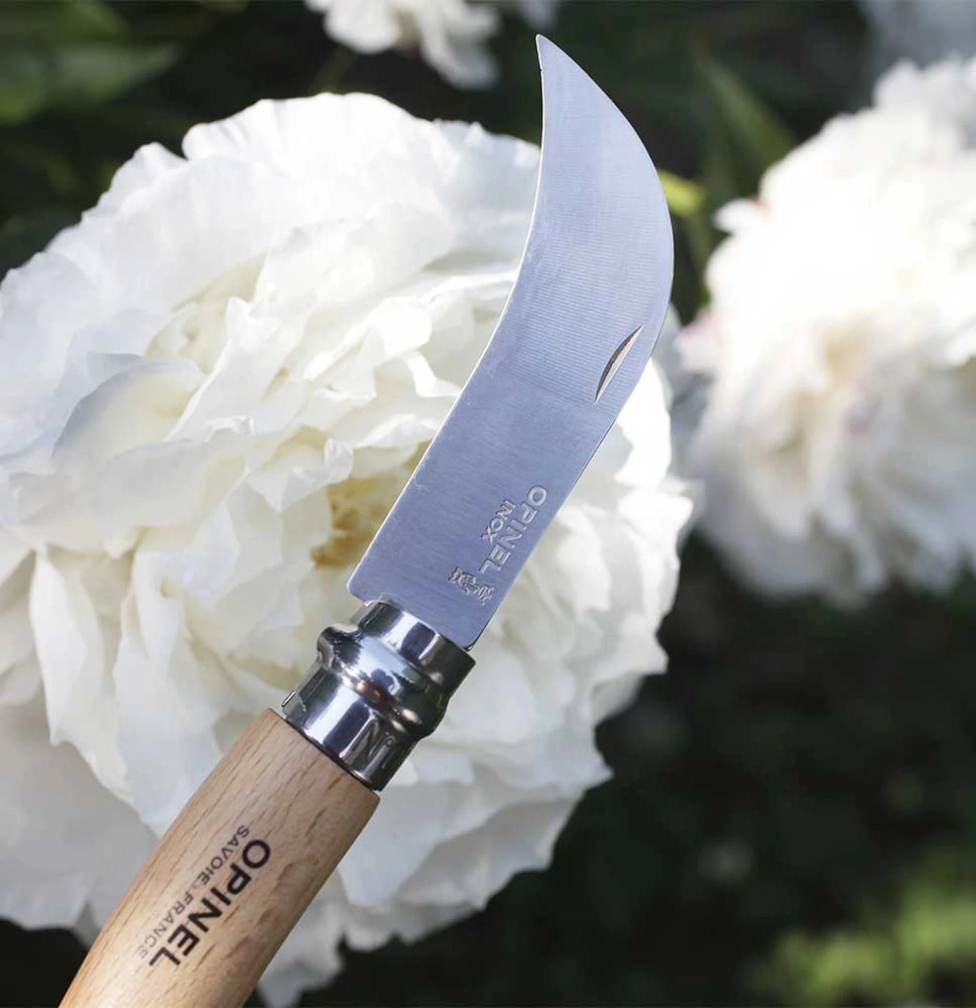 Opinel Pocket Knife N°08 Grafting Billhook 