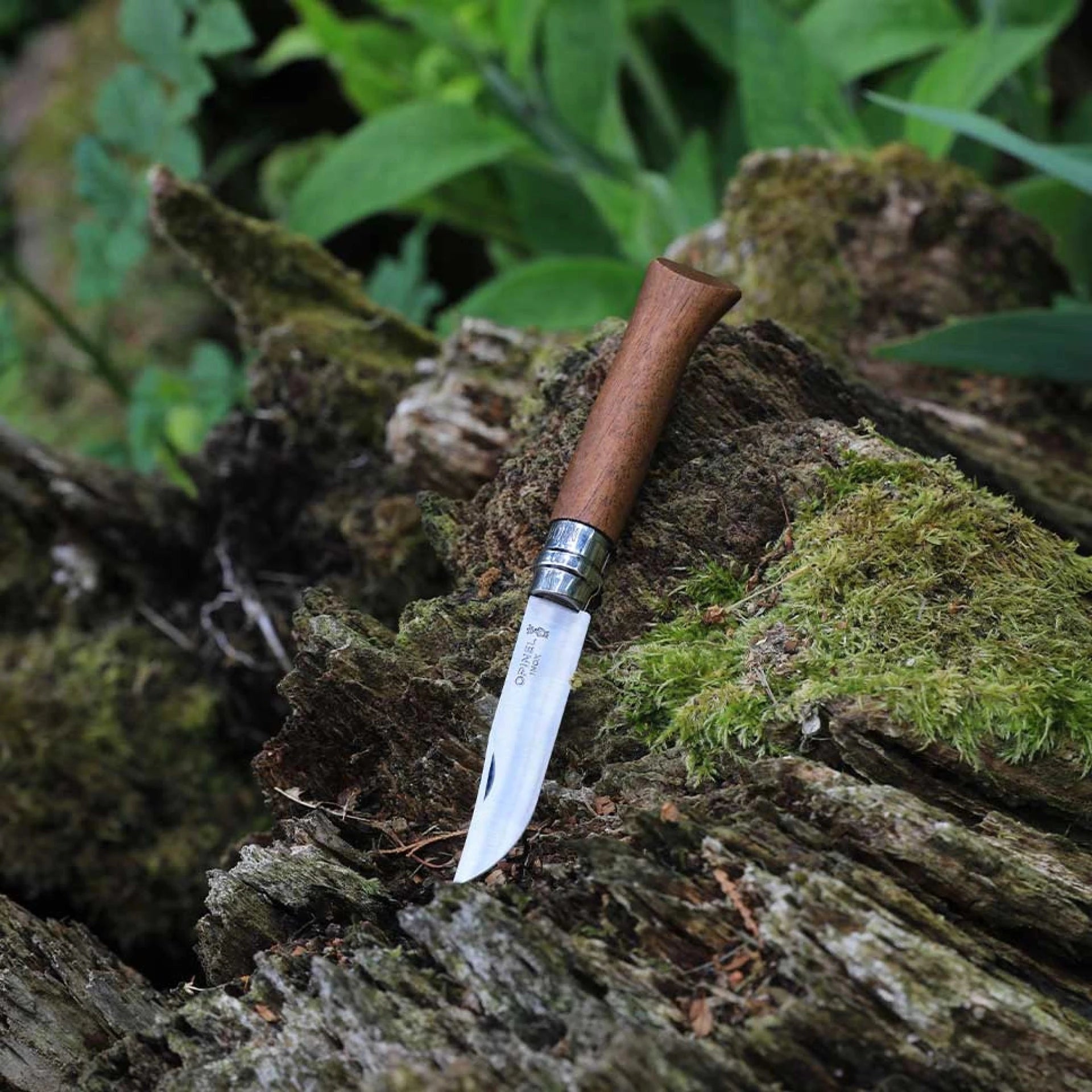 Opinel Pocket Knife N°09 Walnut Wood 