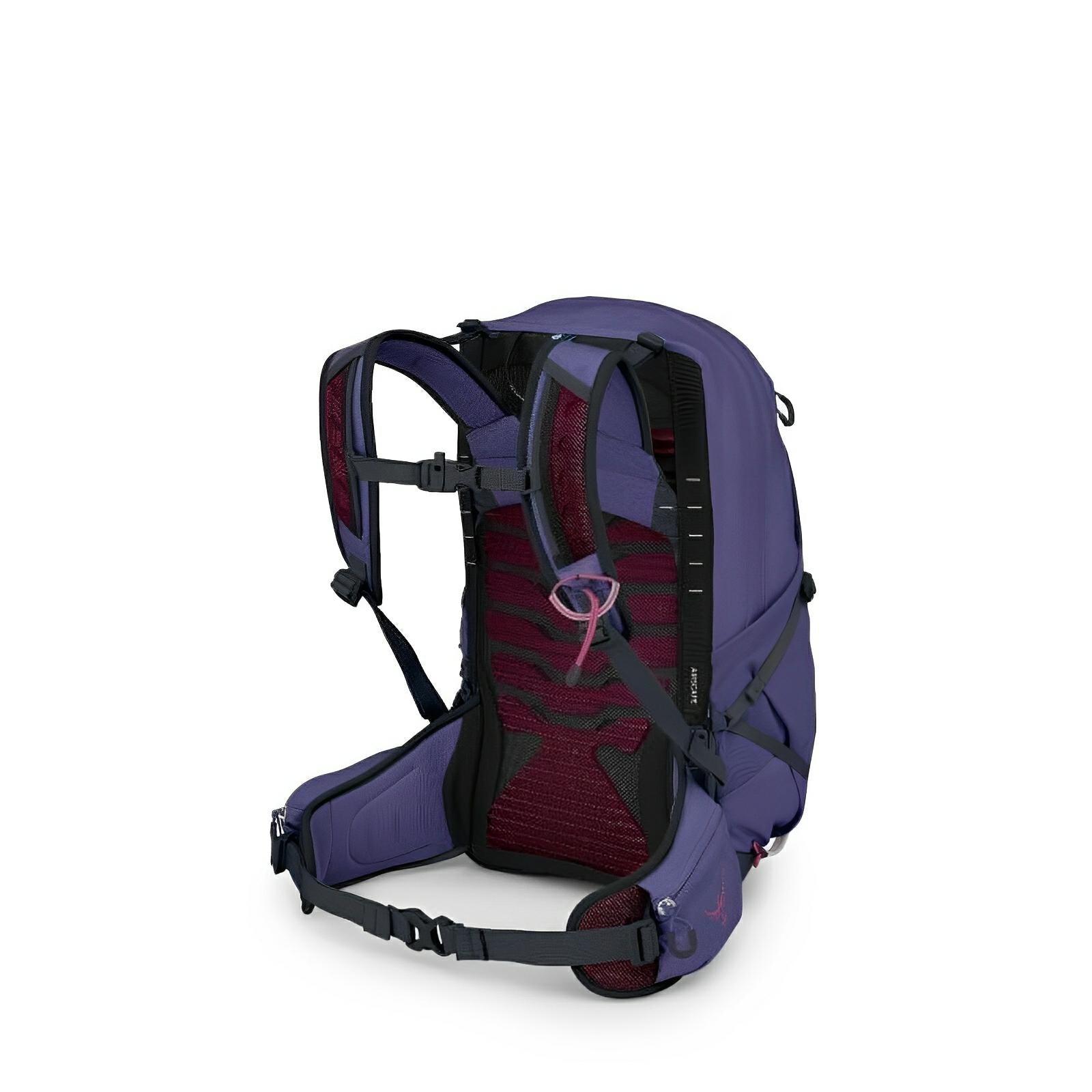 Osprey Tempest 22 Women's Hiking | Multisport Backpack 2025 