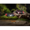 Fenix HM62-T Lightweight Headlamp 