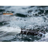 Fenix PD32R Rechargeable Flashlight 