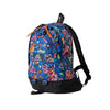 Gregory Fine Day V2 Backpack (18L) Luminous Tapestry 