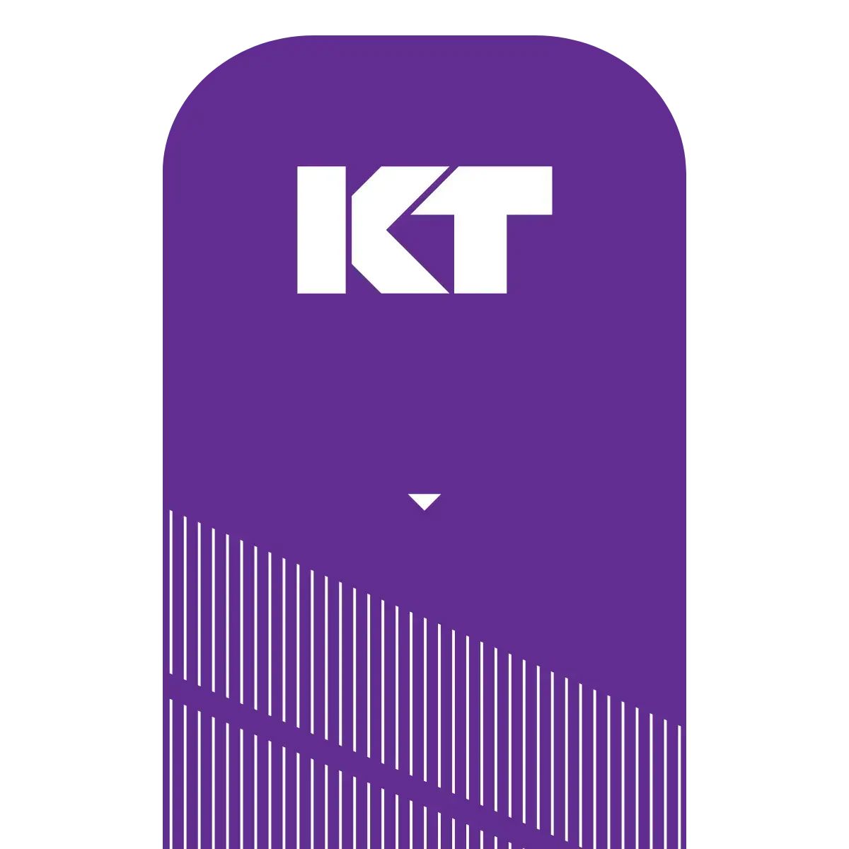 KT Tape Pro Kinesiology Tape (20 Precut Strips) 