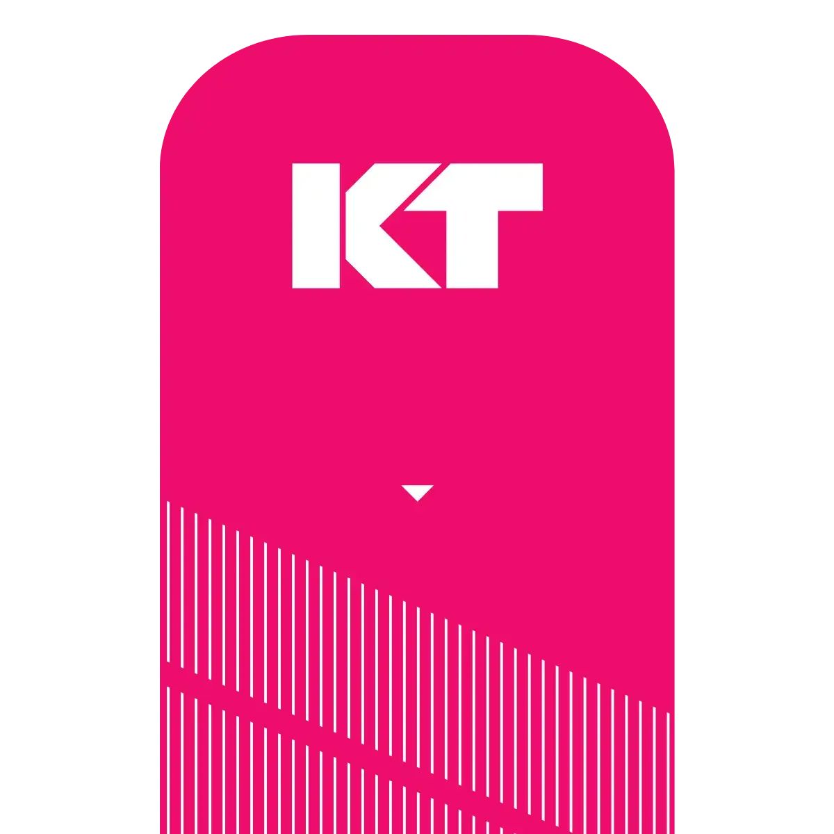 KT Tape Pro Kinesiology Tape (20 Precut Strips) 