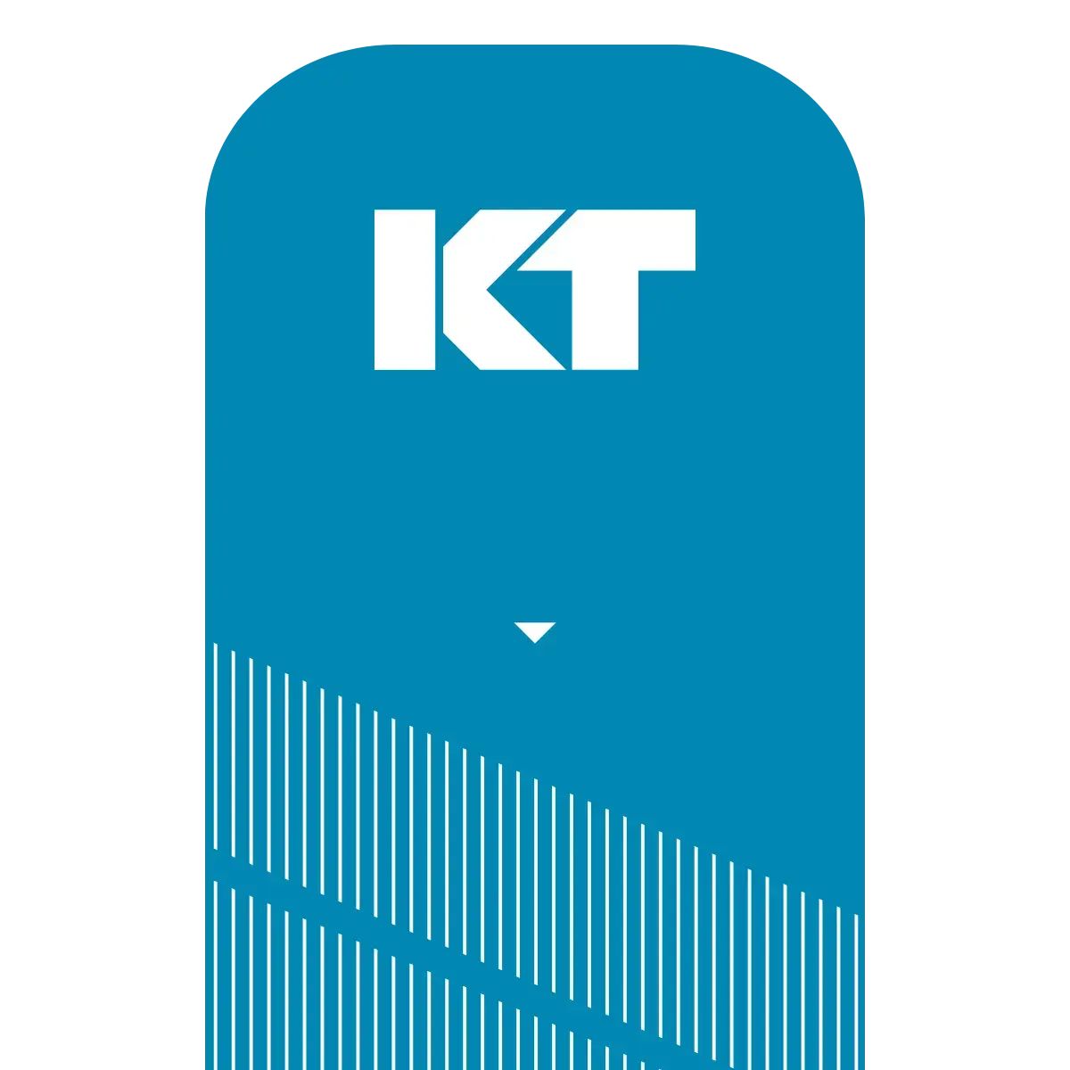 KT Tape Pro Kinesiology Tape (20 Precut Strips) 