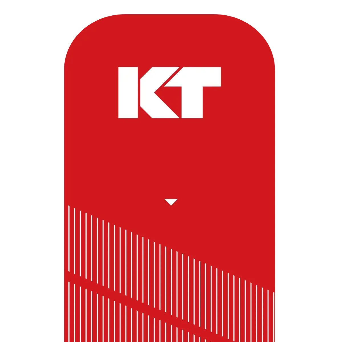 KT Tape Pro Kinesiology Tape (20 Precut Strips) 