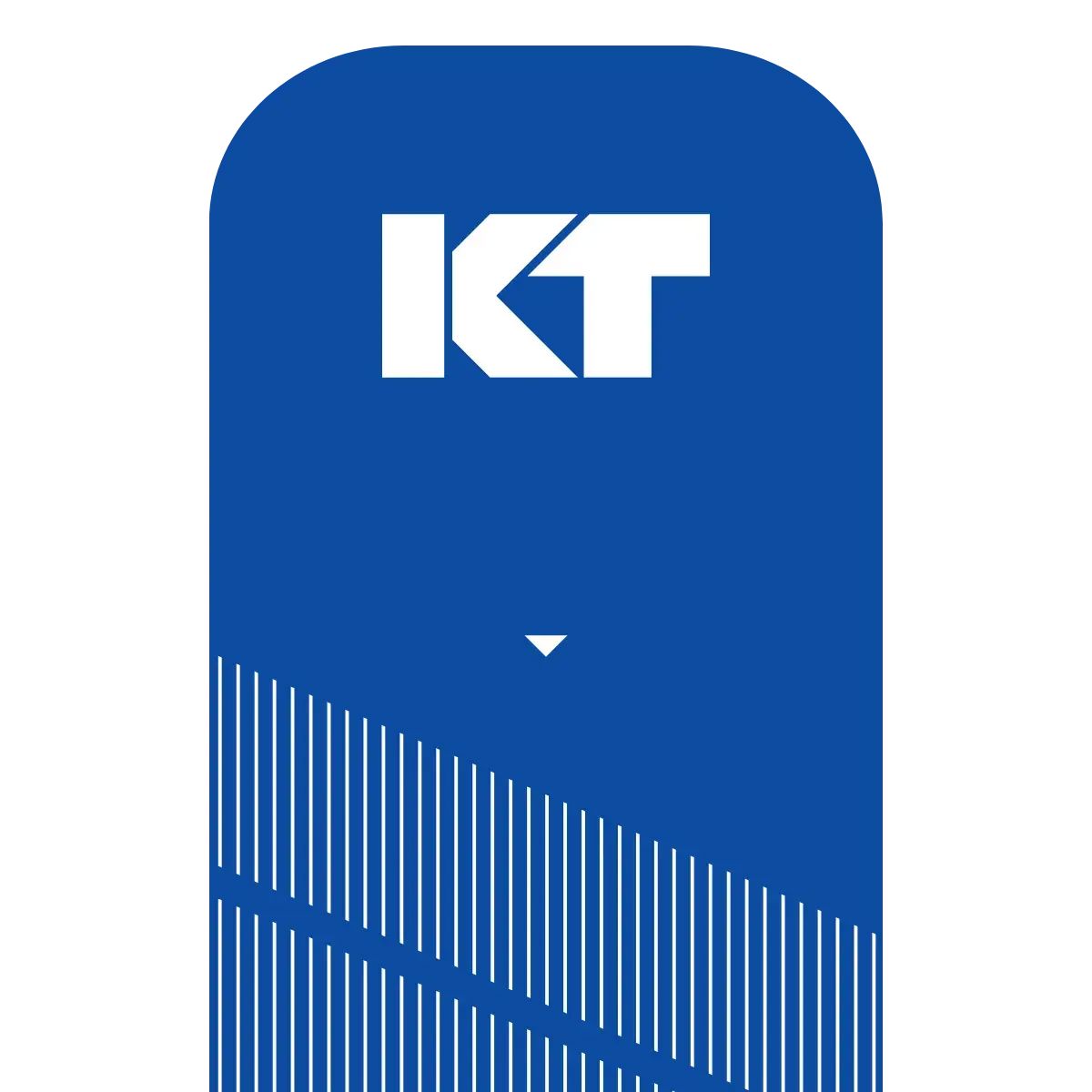 KT Tape Pro Kinesiology Tape (20 Precut Strips) 