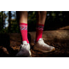 INCYLENCE MERINO LIGHT LANES GERANIO CYAN Merino Light INCYLENCE