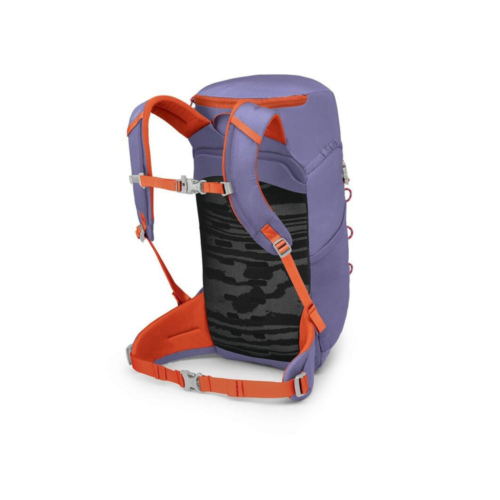 osprey backpack jet 28L Kid's Hiking Backpack, Green Canopy : Sports & Outdoors style opening makes loading and unloading simple Kids' Jet 28-Liter Backpack