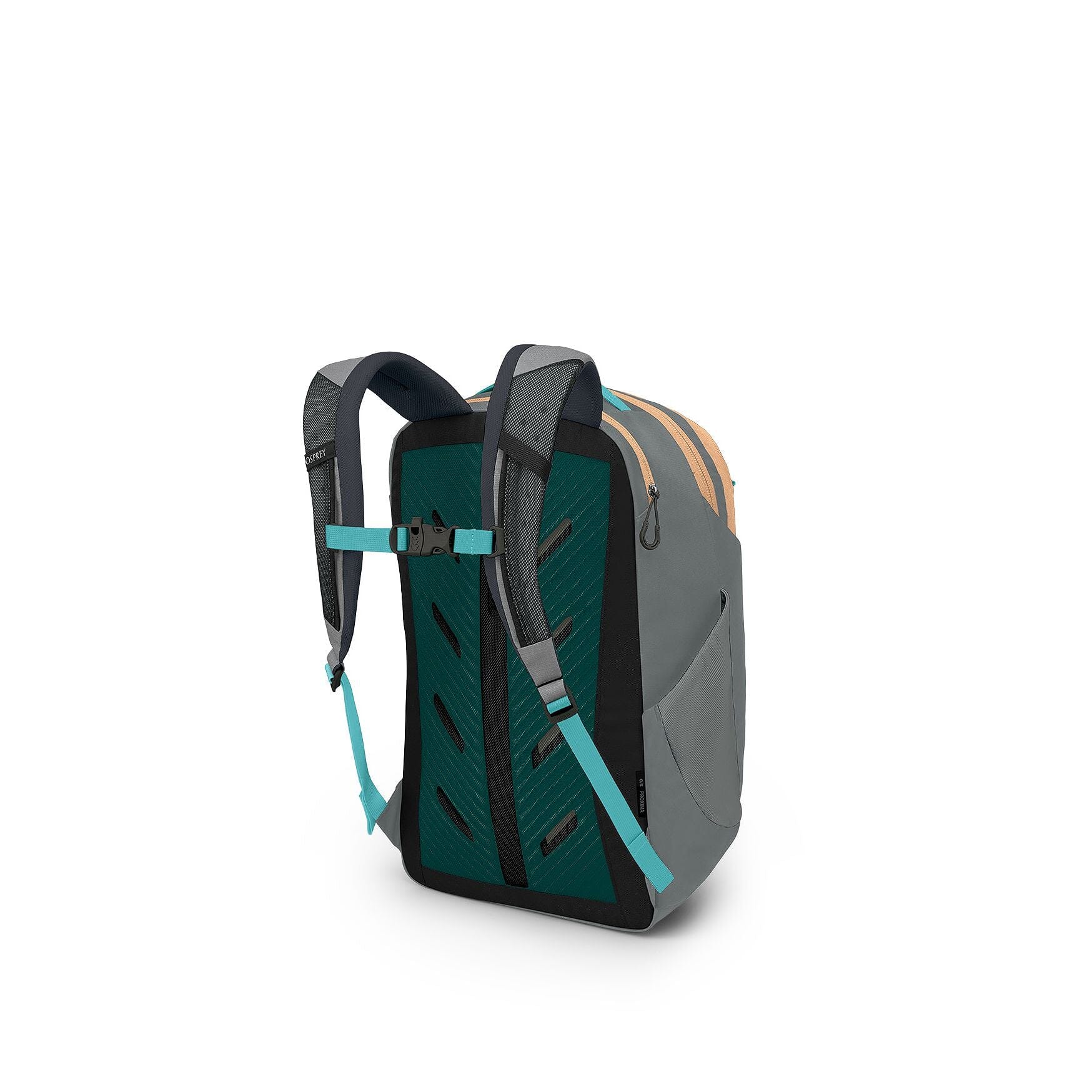 Osprey Proxima 30 Backpack 
