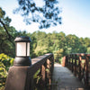 Thermacell Patio Shield Mosquito Repeller Lantern 
