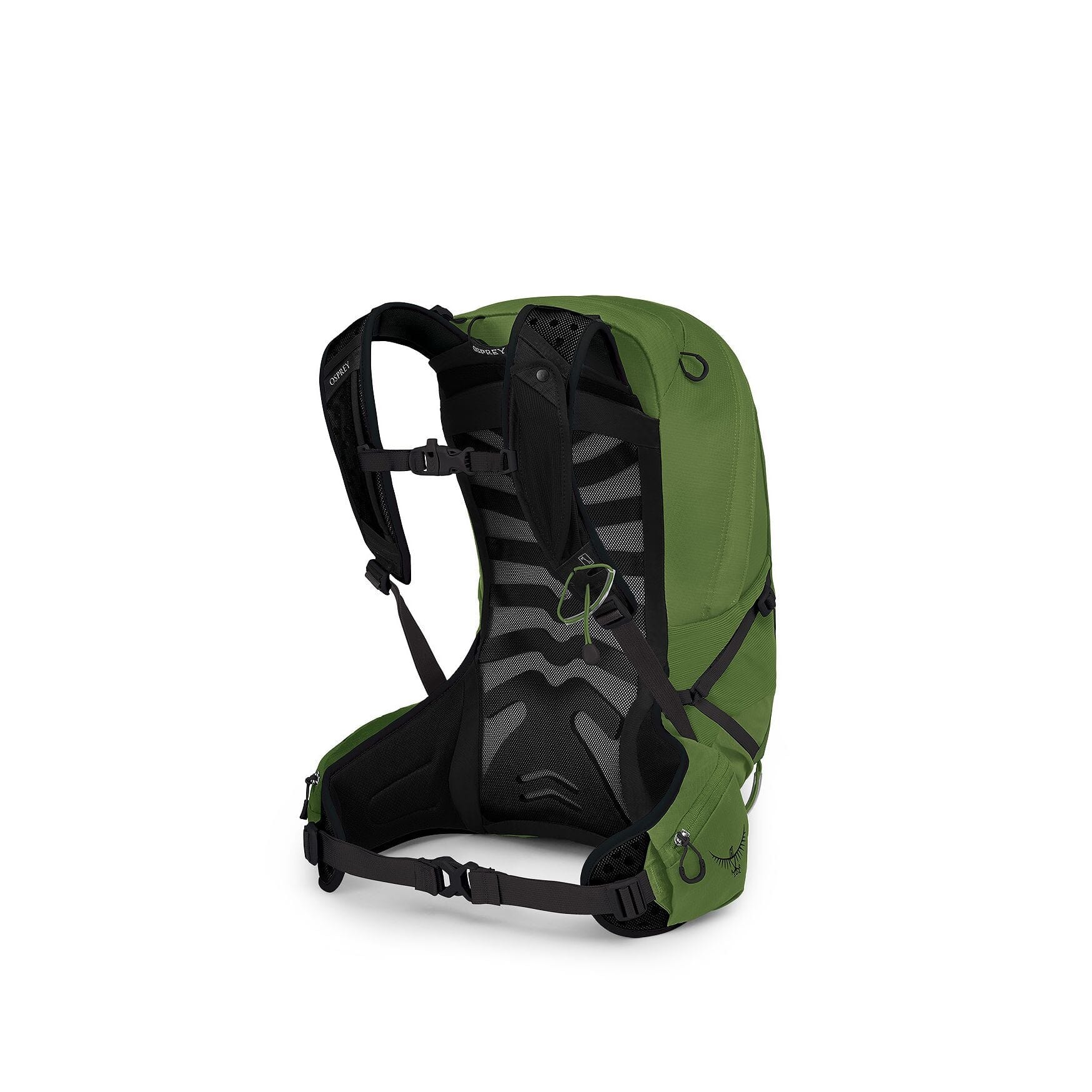 Osprey Talon 22 Men's Day Hiking Backpack Green Belt Black (S24) L/XL 