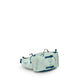 Osprey Talon 6 Hiking | Multisport Lumbar Pack Frosty Mint Green/Night Shift 