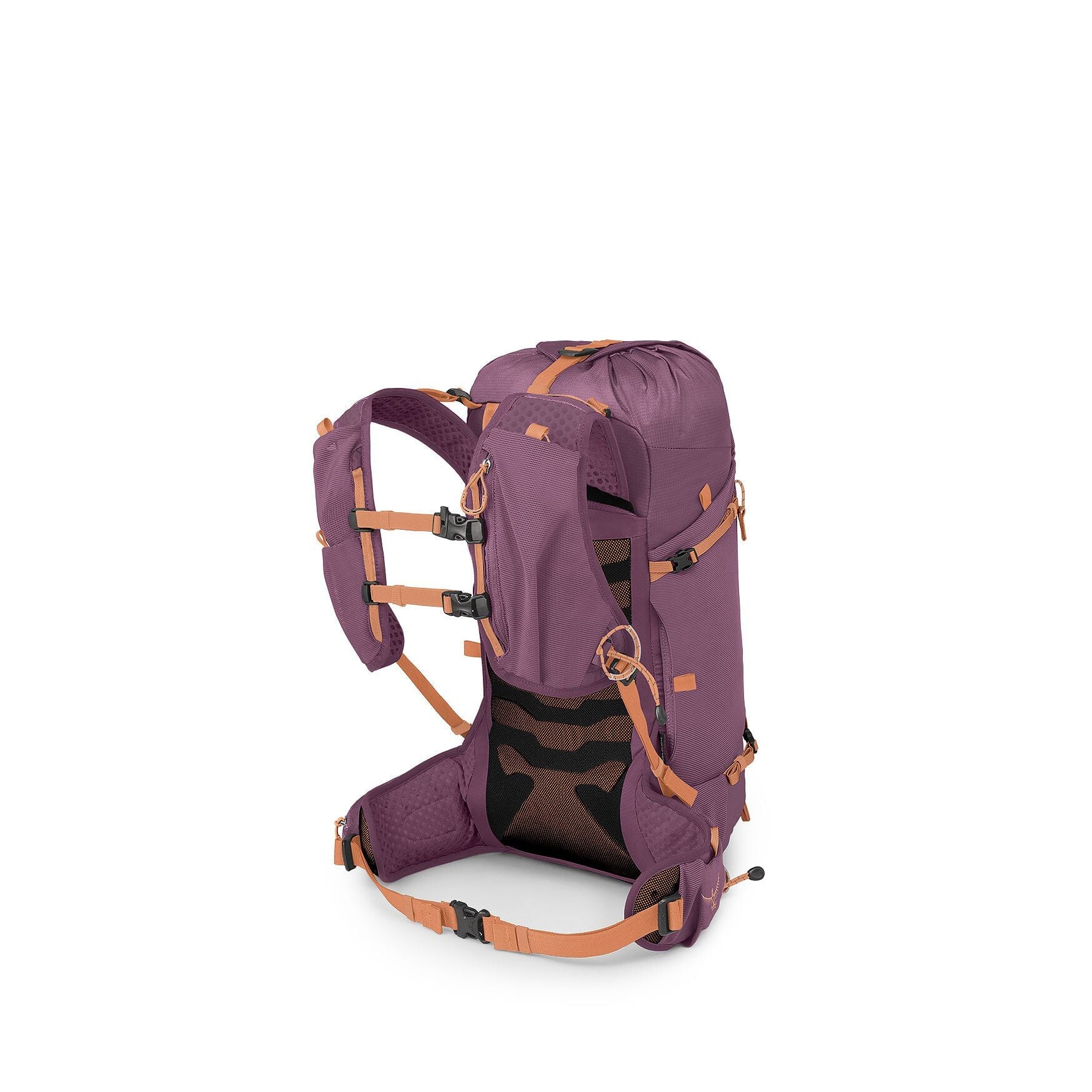 Osprey Tempest Velocity 20 Women's Backpack 