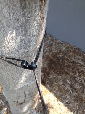 Sea to Summit Lite Line Clothesline 