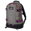 Gregory All Day V2.1 Backpack (24L) Grey/Purple 