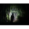 Fenix HL40R Focusable USB Rechargeable Headlamp 