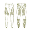 2XU Men's Force Compression Tights MA5365B 