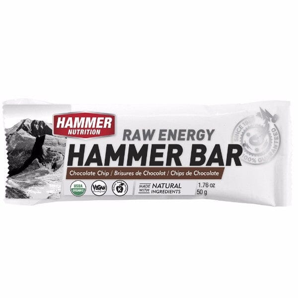 Hammer Raw Energy Bar CHOCOLATE CHIP 